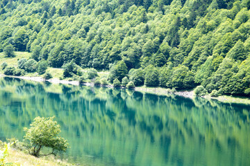 Meadows, rivers, forest, lakes and mountains in the Aragonese Pyrenees bordering the French border