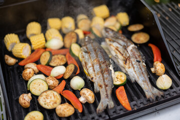 Vegetables and trout fish grilling on a gas grill, close-up