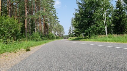 the road leading to the forest