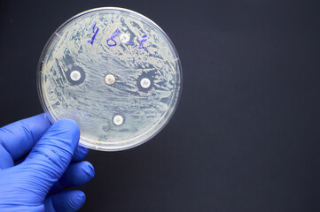 Antimicrobial susceptibility by diffusion test. multidrug resistance