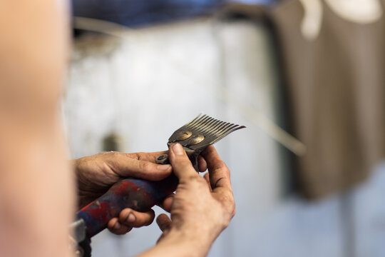 shearer's dirty hands adjusting comb and cutter on handpiece