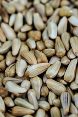 Sunflower seeds