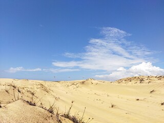 sand dunes in the desert