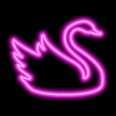 Fototapeta premium Pink neon swan contour on a black background. Floating Bird
