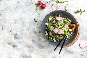 spring salad with red radish, arugula and cottage cheese. Long banner format, top view