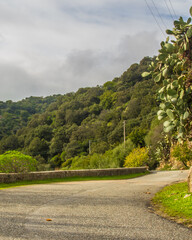 Country road 