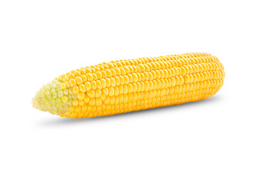 Horizontally lying head of corn on a white background, corn isolate