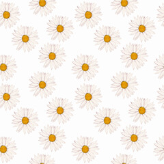 Watercolor illustration pattern with daisies. Drawn by hand with watercolors and is suitable for all types of design and printing.