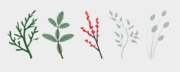Vector branches of winter plants, conifers christmas tree, holly plant berries and ears. Perfect for chritmas and new year designs.