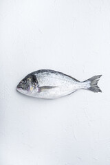 Raw sea bream or Gilt head bream dorada fish on white background, top view.