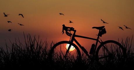 Bicycle silhouette at sunset with flocks of birds.