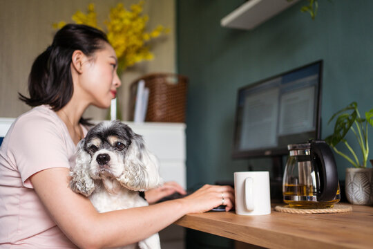 Asian woman working on computer with dog at home