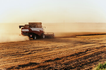 Fototapeta premium Combine harvester harvests wheat. Concept of a rich harvest. Agriculture image.