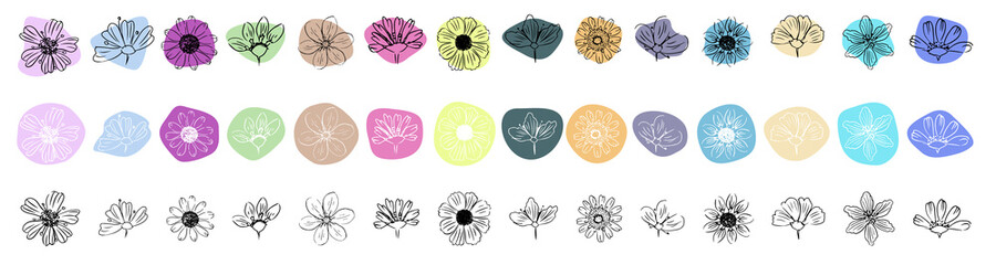 Daisy. Icon set. Flowers on abstract shape on white background. Isolated