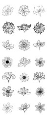 Flowers Icon set. line art. On white background. Isolated