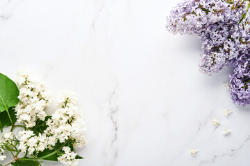 Branch  of beautiful white lilac on grey background. Top view. Festive greeting card with peony for weddings, happy womens day Valentines and Mothers day.