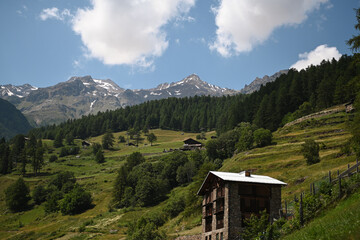 Fototapeta na wymiar paesaggio alta montagna estate pejo val di sole alpi trentino 
