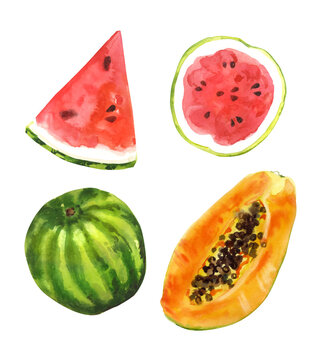 Watercolor hand painted exotic fruits illustration set isolated on white background - watermelon and papaya slices 