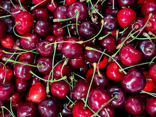 Red cherries background. Vegan banner, wallpaper.