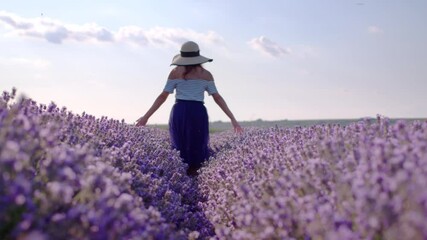 A caucasian woman with straw hat walking in a lavender field. The lavender farm, harvesting. Lavender production and oil producer. 4k slow motion
