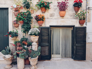 fachada de casa ornada com vasos de plantas