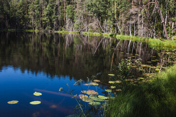 Mirror surface of clear lake water, the color of the sky and reflected clouds - a beautiful forest lake