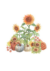 
Vintage pumpkin sunflowers Apple box pickup watercolor hand drawn illustration. Print textile vintage retro realistic style autumn nature orange yellow color set clipart