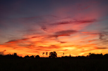Colorful dramatic sky with clouds over silhouette plantation
