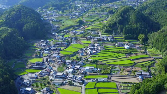 日本棚田百選　深野のだんだん田