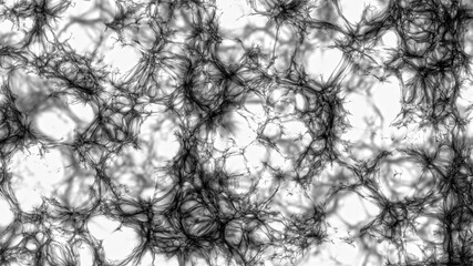 An abstract ragged and evolving shape reminiscent of a spider web.