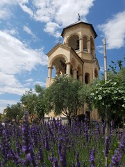 blue sky old church in georgia with lavender flowers