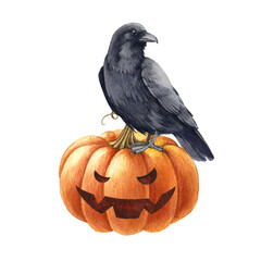 Black raven bird on pumpkin. Watercolor halloween illustration. Halloween decorative element. Black crow on scary jack pumpkin head side view. Spooky funny autumn decor. White background