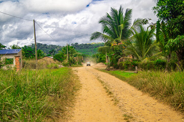 Obraz premium fields and person