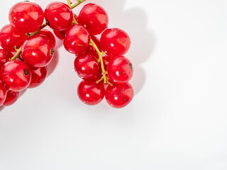 Isolated sprig of red currant berries.