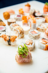 food, sushi, fish, japanese, rice, seafood, meal, dinner, plate, roll, cuisine, gourmet, salmon, asia, japan, lunch, dish, appetizer, raw, healthy, snack, cheese, bread, fresh, delicious, seaweed, mak
