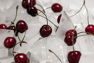 Close up of dark red sweet cherries on chunks of ice. Chilled food and summer snack concept with copy space