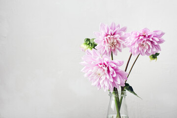 Bouquet of pink dahlias.