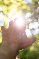Caucasian male hand reaching upwards open hand close up shot green and yellow nature shallow depth of field background. Reaching out hand gesture. Sun rays flaring through the fingers