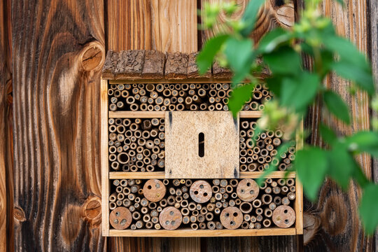 Closeup Of Wooden Insects House In A Garden