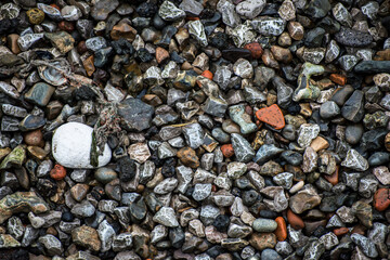 Background of stones of the Thames riverbed
