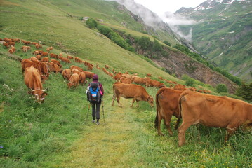 Tour du Mont Blanc (TMB)