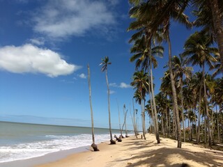 beach with palm trees prado Bahia Brazil