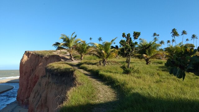 beach with falesias ND palm trees prado Bahia Brazil