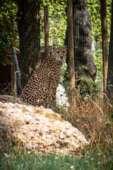 Photo by: Tyminski Kamil