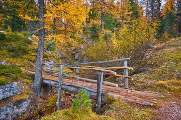 Autumn scene in Dolomites mountain. Tofana, Cinque Torri -Dolomites.