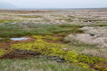 Fototapeta na wymiar Wanderung auf der Kjalvegur Route im Hochland von Island durch karge Landschaft.