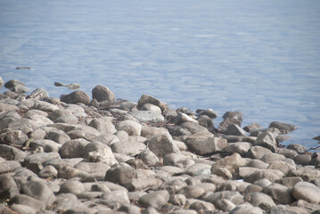 steine am see