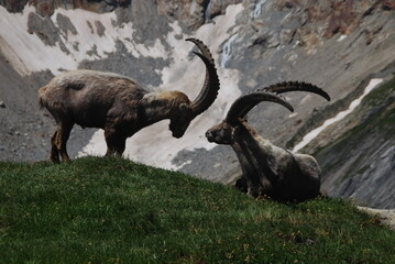 Tour du Mont Blanc (TMB)
