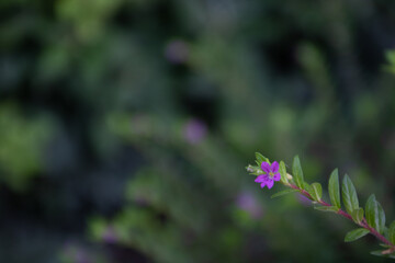 Photo by: Tyminski Kamil