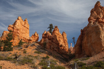 Fototapeta premium View of the Bryce Canyon landscape seen from the Queens Garden Trail / Navajo Loop